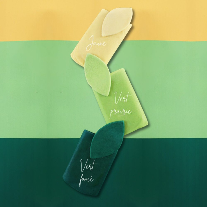 Pâte à sucre vert foncé 100g