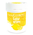 Color'arôme jaune / citron 10 gr réf.4057