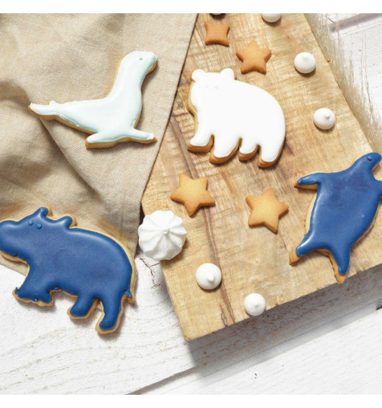 Colorant alimentaire en poudre bleu nuit glaçage biscuits animaux - ScrapCooking