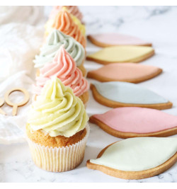Gamme glaçage royal coloré biscuits cupcakes Mint - ScrapCooking