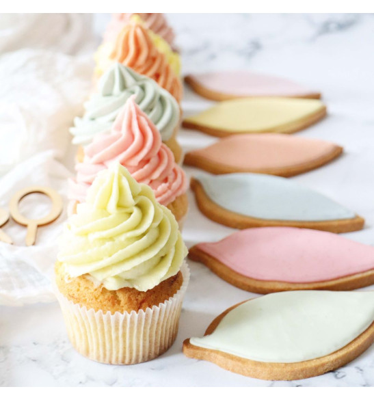 Gamme glaçage royal coloré biscuits cupcakes Mint - ScrapCooking