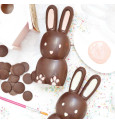 Lapins chocolat Paques - Moule 3D choco lapin - ScrapCooking