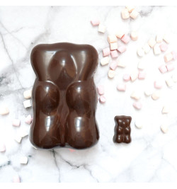 Ourson géant chocolat noir - Palets de chocolat noir 190 gr - ScrapCooking