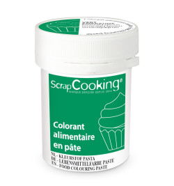Colorant alimentaire en pâte vert émeraude 20g - ScrapCooking