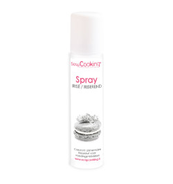 Food colouring spray for cakes - Silver - ScrapCooking