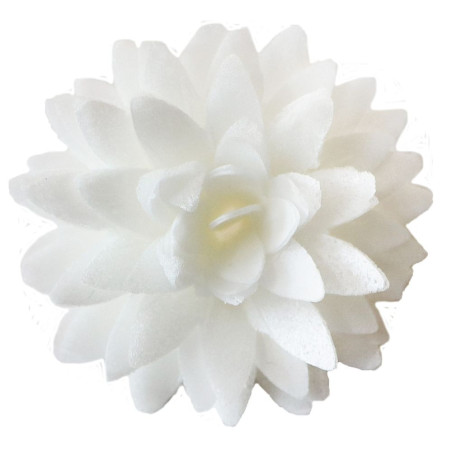 Dahlia blanc azyme déco - ScrapCooking