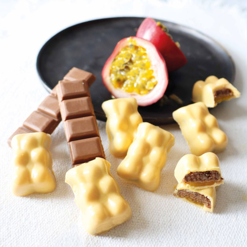 Oursons passion moule silicone -  ScrapCooking