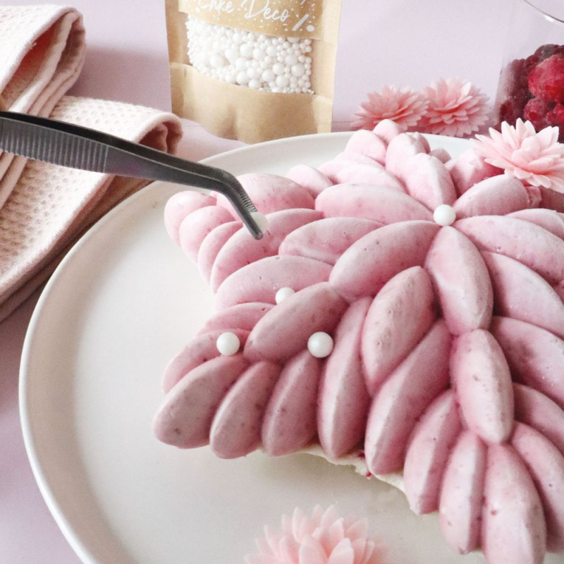 Moule 3D céleste entrmets vacherin rose - ScrapCooking