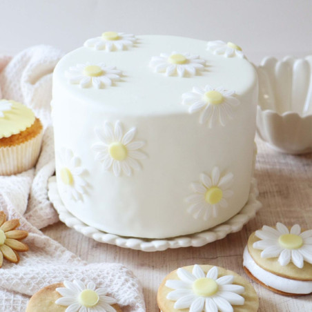 Moule haut en aluminium