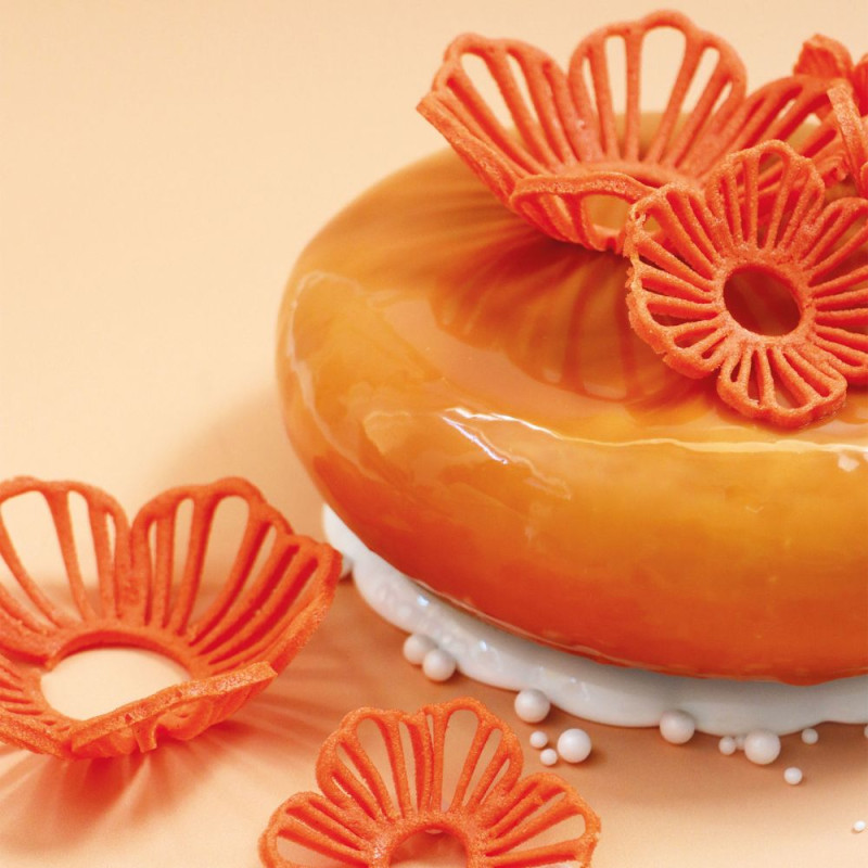 Gâteau orange avec fleurs oranges en chocolat ScrapCooking®