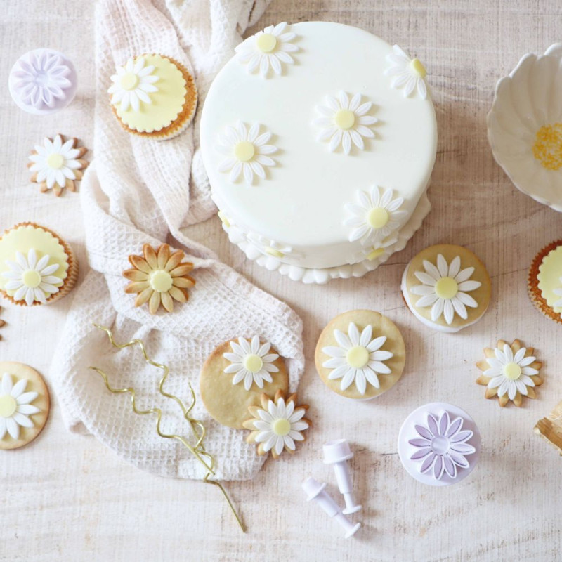 Gâteau décoré de marguerites sucrées ScrapCooking®