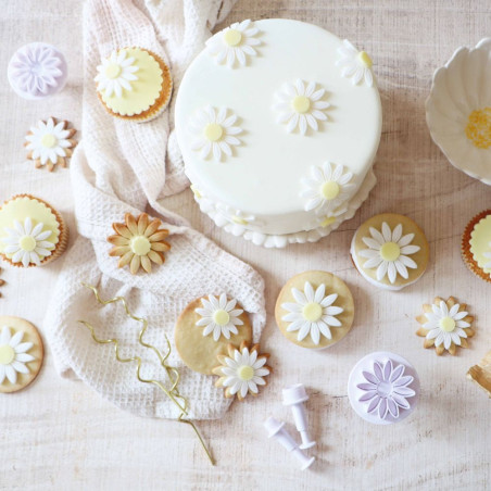 27 cookie cutters with ejectors (hearts, butterflies, flowers)