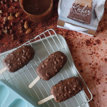 Moule silicone pour glace & magnum cake