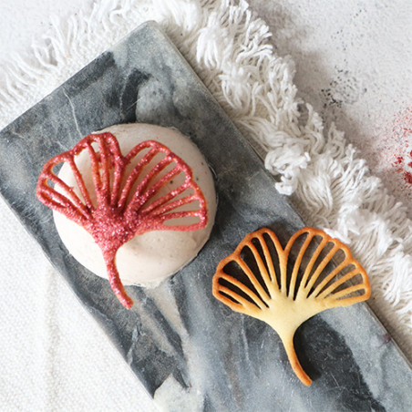 Silicone tuile mat 10 ginkgo leaves | ScrapCooking