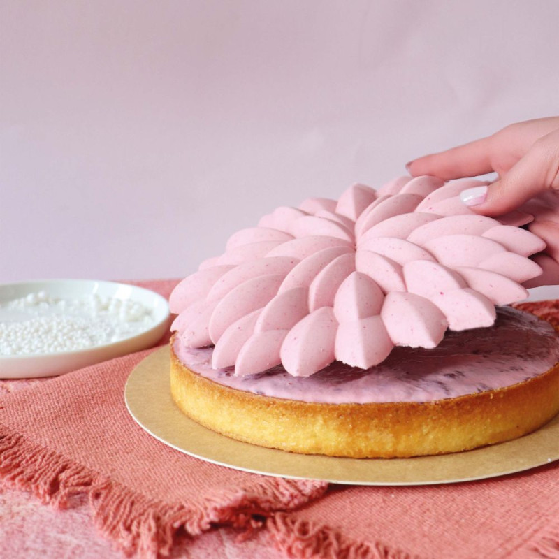 Purée de fruits aux Fruits Rouges - Entremet framboise - ScrapCooking®