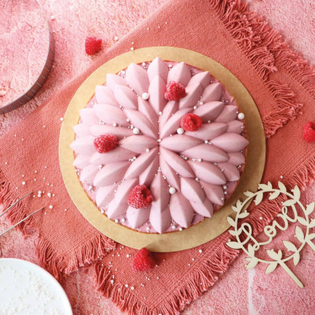 Purée de fruits aux Fruits Rouges - Entremet framboise - ScrapCooking®