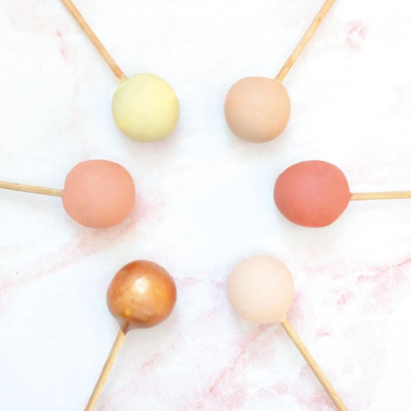 20 Cake pop sticks