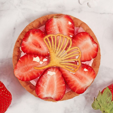 Silicone tuile mat 10 ginkgo leaves | ScrapCooking