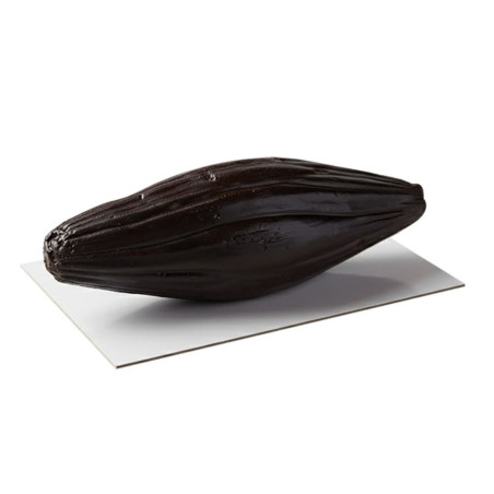 Gâteau trompe l'œil gousse de vanille