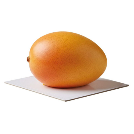 Entremet mangue trompe l'oœil réaliste