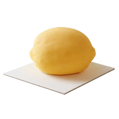 Moule silicone trompe-l'œil citron individuel | ScrapCooking®