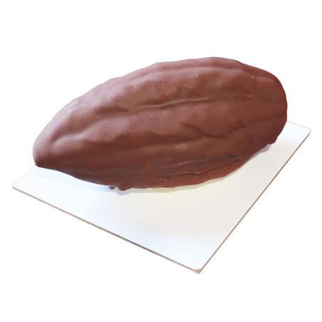 Realistic cocoa pod illusion cake