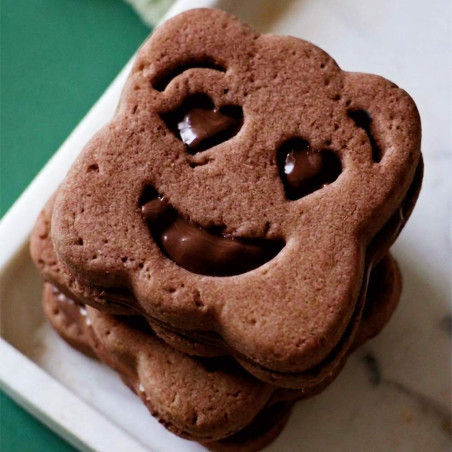 Silicone smiley face biscuits mold | ScrapCooking®