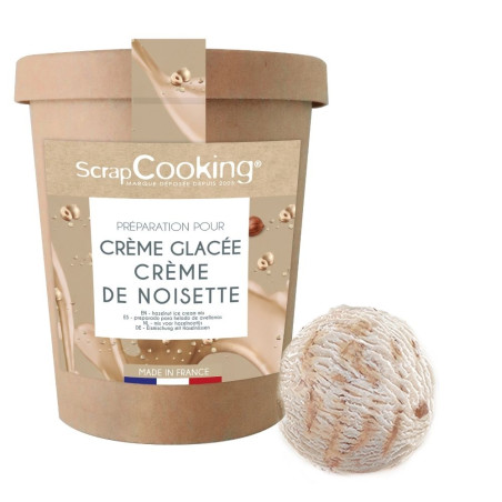 Tub of hazelnut paste ice cream + scoop - ScrapCooking®