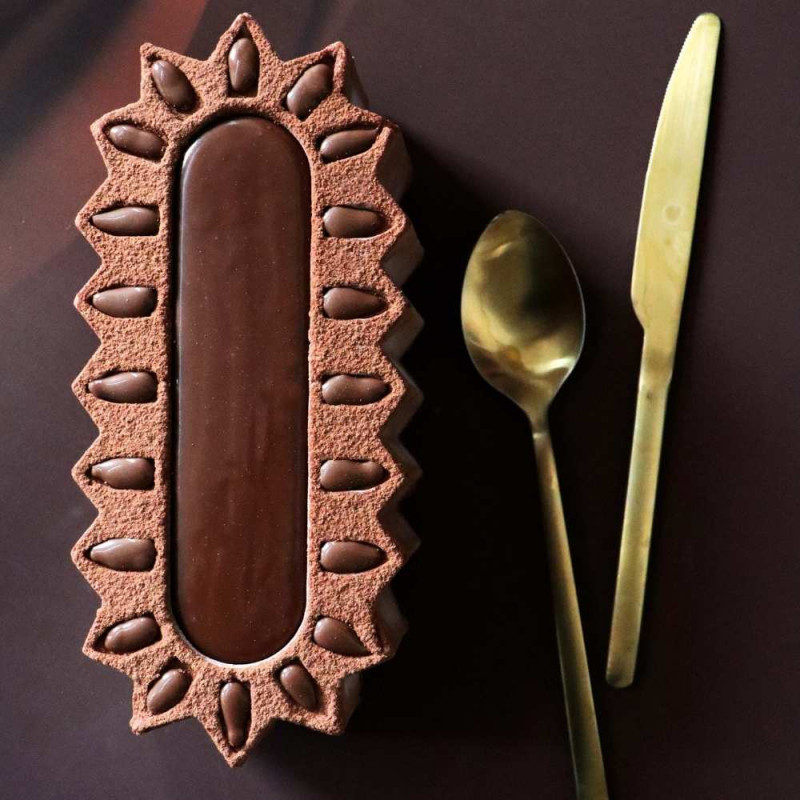 Photo of the Marquise chocolate Yule log - ScrapCooking