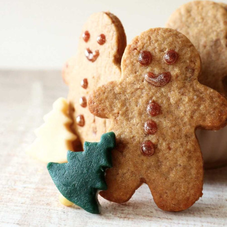 Close-up photo of a homemade speculoos gingerbread man biscuit - ScrapCooking®
