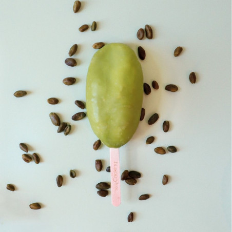 Pistachio Trompe l’œil Ice Cream - ScrapCooking®