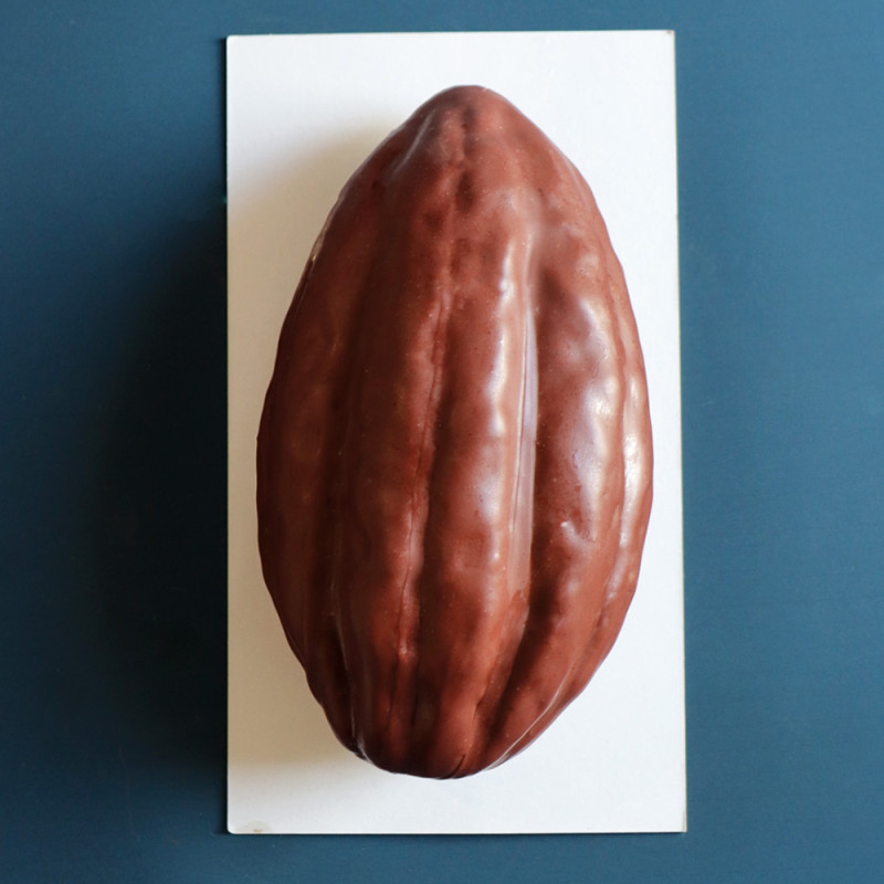 Cocoa Pod illusion cake silicone mould
