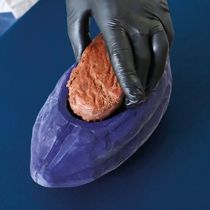 Cocoa Pod illusion cake silicone mould
