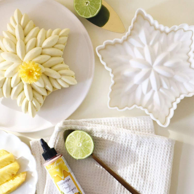 Ensemble réalisation + moule silicone Céleste - ScrapCooking®