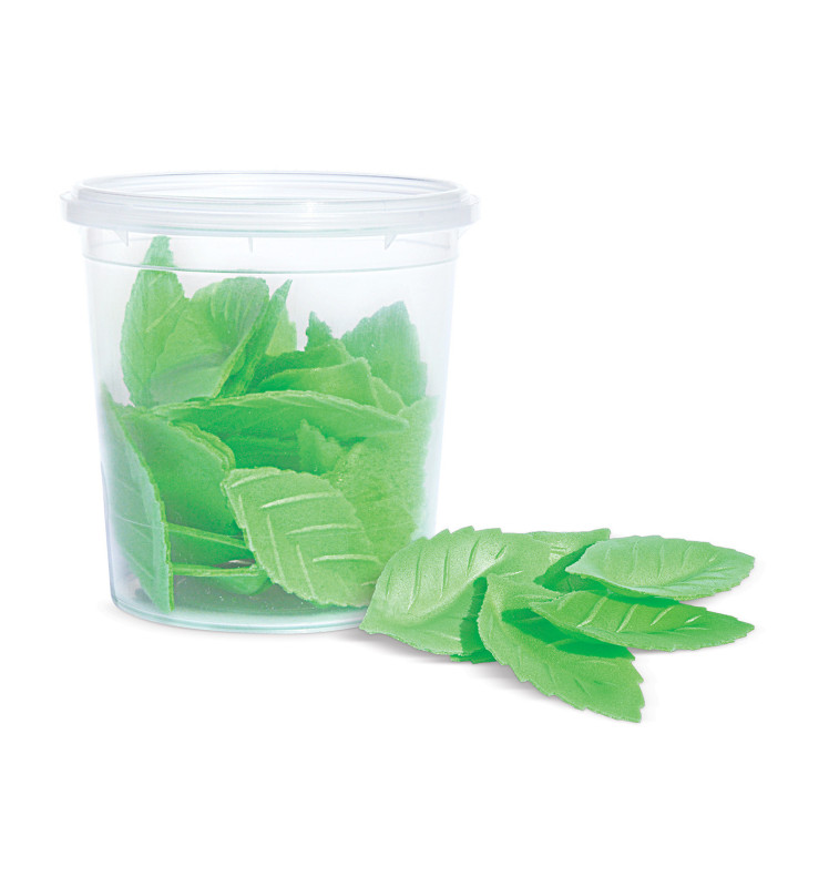 24 Feuilles Vertes En Papier Azyme Comestible - Décoration Pour Gâteaux, Cupcakes, Pâtisseries - 10