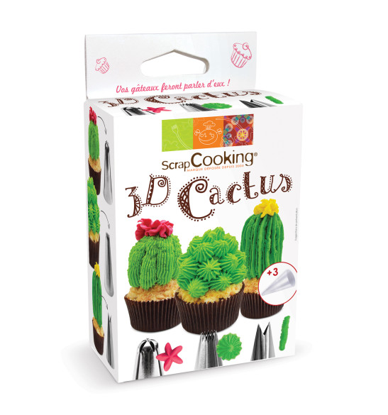 3D Cactus kit 3D Cactus kit