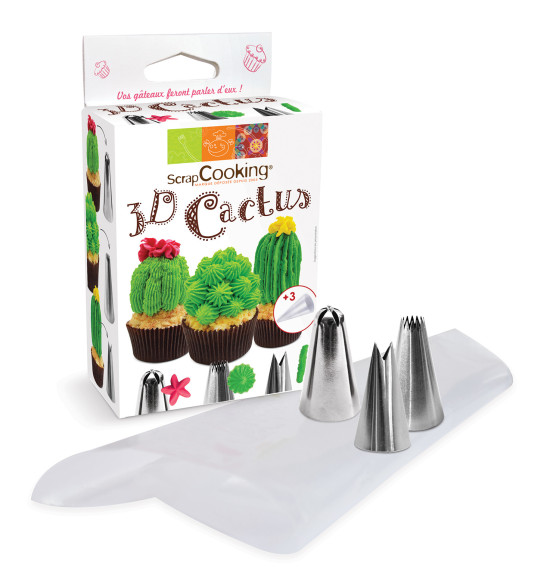 3D Cactus kit