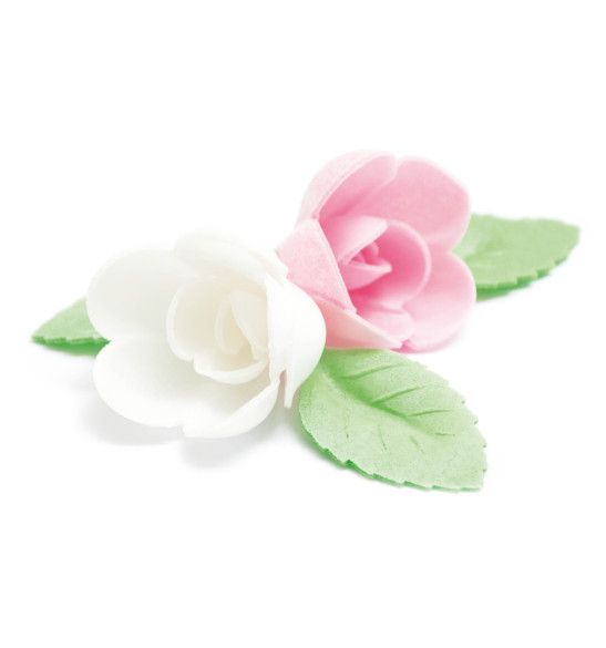Fleurs azyme roses/feuilles vertes Fleurs azyme roses/feuilles vertes