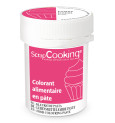 Colorant alimentaire en pâte fuchsia 20g réf.4552