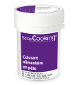 Colorant alimentaire en pâte aubergine 20g réf.4257