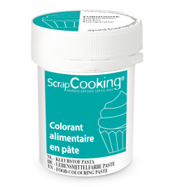 Food colouring paste 20g -...