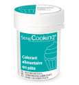 Colorant alimentaire en pâte turquoise 20g réf;4259