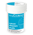 Colorant alimentaire en pâte bleu caraïbes 20g réf;4260