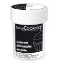 Colorant alimentaire en pâte noir 20g réf.4251