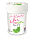 Pot of mint natural powdered flavouring 15g