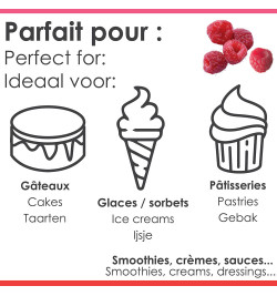 Pâte concentrée de fruits Framboise réf.4751