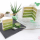 Recette mojito Cake