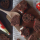 Recette biscuits de Noël glaçage façon sucre d'orge