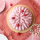 Recette Tarte fruits rouges décor Saint Honoré