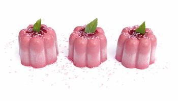 Mini Bavarois à la Framboise